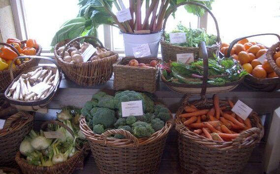 Soil Association’s Organic September Consolidates Organic Sales & Consumer Awareness