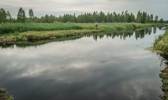 £400,000 To Help Restore Scotland’s Peatlands.