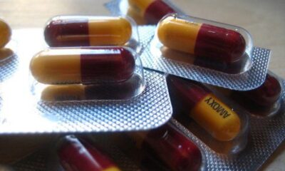 New Report Highlights Risk To Investors Posed By Antibiotic Use In Farming