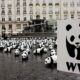WWF, Care And Action Aid Launch Adaptation Report