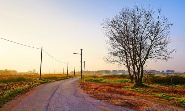 Conservation Importance Not A Draw For Countryside Visitors