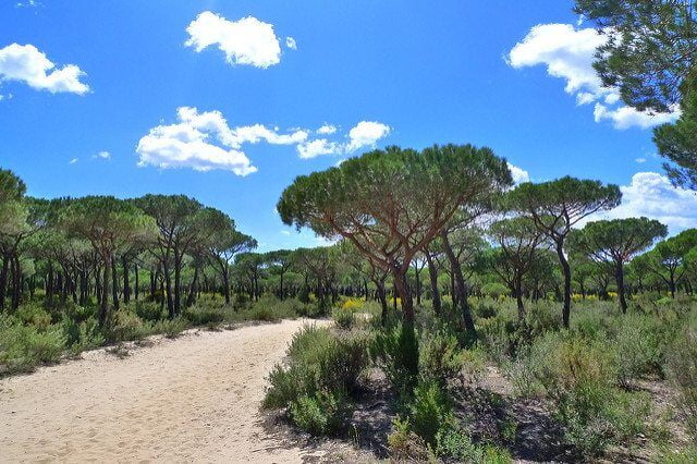 Europe’s Leading Wetland Drying Up At Alarming Rate