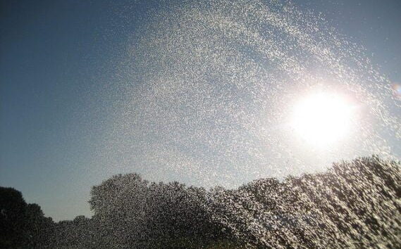 Water Footprint Is Key to Sustainable Development in Sub-Saharan Africa