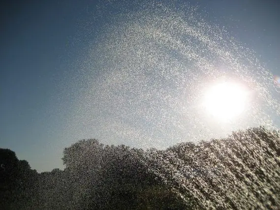 Water Footprint Is Key to Sustainable Development in Sub-Saharan Africa