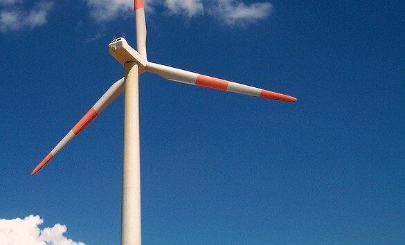 Aspas de felicidad by Eduardo Zarate via flickr