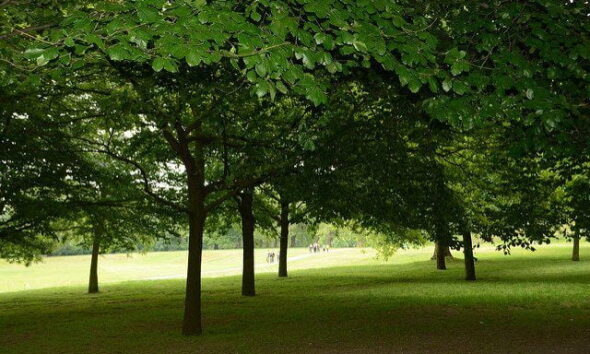 Greenwich Park London by eGuide Travel via flickr