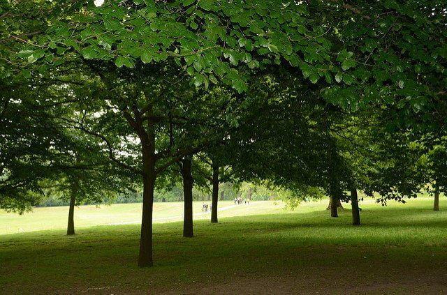 Greenwich Park London by eGuide Travel via flickr