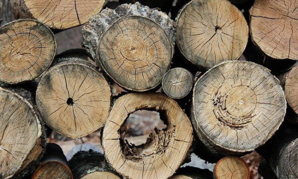 IMG_0211 by _ Liquid via flickr