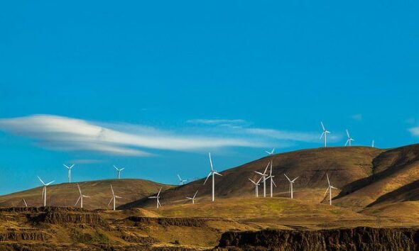 renewable-by-sheila-sund-via-flickr