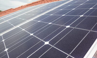 Solar Panels by marufish via flickr