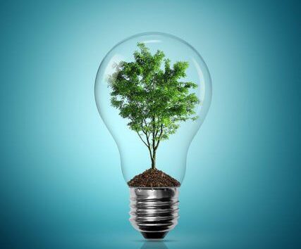 bulb-light-with-tree-inside-on-blue-background-by-mattwalker69-via-flickr
