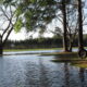flooding by tink tracy via flickr