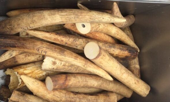 humanesociety_39013015898