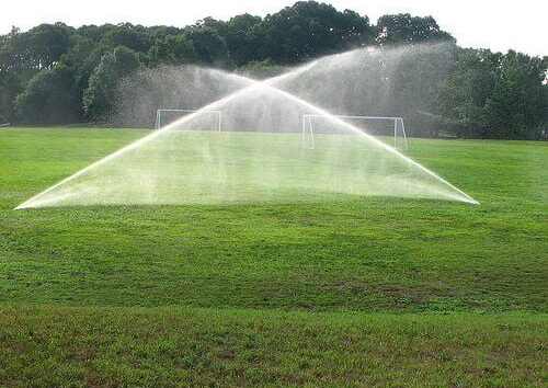 lawn-by-beth-coll-anderson-via-flickr