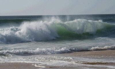 wave by anthony patterson via flickr
