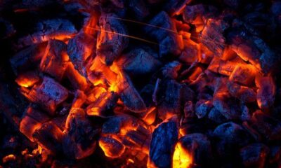 Угольки live coals by Julay Cat via flickr