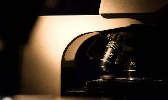 New Scottish Legislation Aimed At Reducing Use Of Microbeads