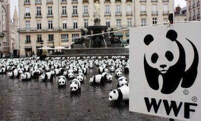 Leader In Inclusive Sustainable Development Applauded By WWF