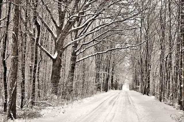 Discover Your Local 'Capability' Brown Landscape This Winter