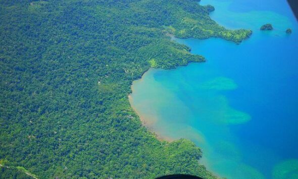 2016 Was A Major Year For Conservation!