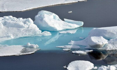 Arctic Ice by Global Panorama via flickr