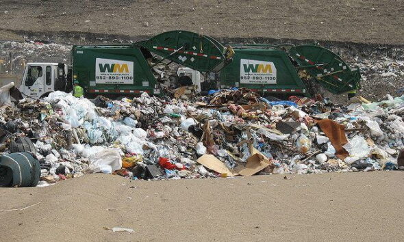 At the landfill by Redwin Law via flickr