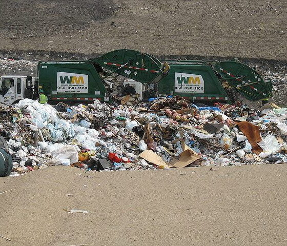 At the landfill by Redwin Law via flickr