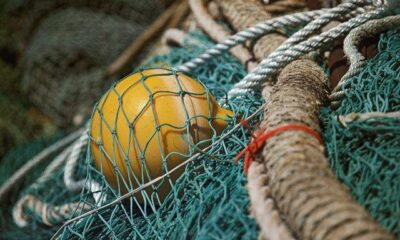 fishing nets by tomas fano via flickr