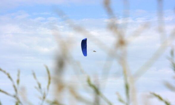 KPS Receive £5million Funding : WWF-UK Reaction