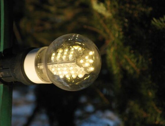 led_lamp_on_christmas_tree_2009