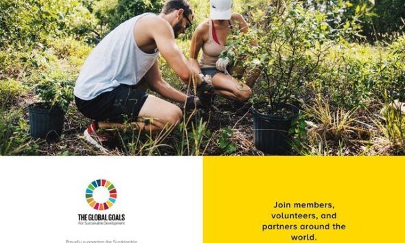 Ideas for Us Website