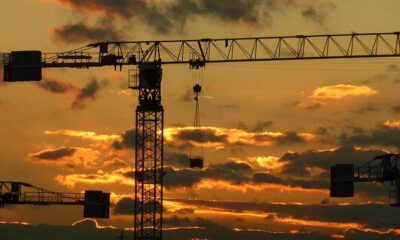Cranes By Sean MacEntee Via Flickr