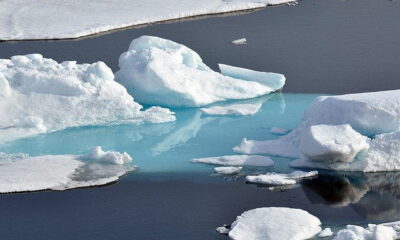 An Arctic Clean Up Has Been Backed By Commitment Signatories