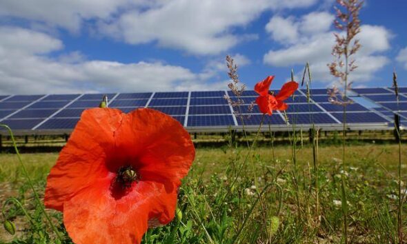 ‘Energy Barn’ Development Partnership Introduced By Anesco And Green Hedge Energy UK