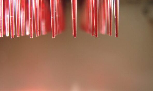 2010 DNA Distribution by igemhq via flickr