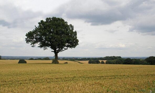 Corley Landscape by Amanda Slater via flickr