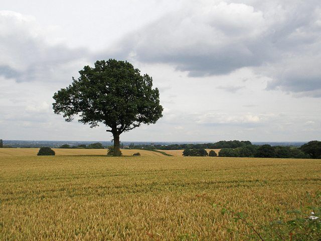 Corley Landscape by Amanda Slater via flickr