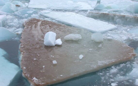 New Research Explains Adaptation To Changing Climates