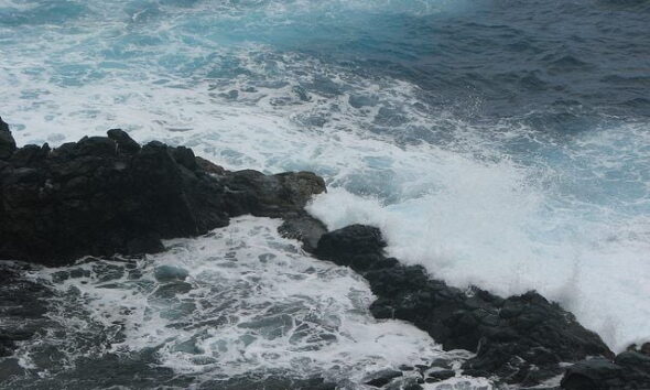 Tidal Pool by Gord Webster via flickr