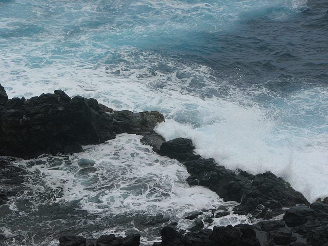 Tidal Pool by Gord Webster via flickr