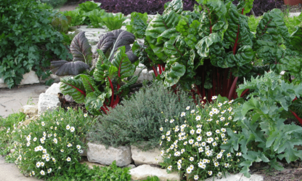 garden via www.homelook.us