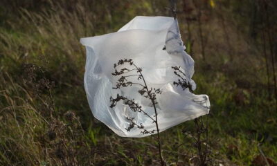 plastic bag use rise - Dave Bleasdale via Flickr