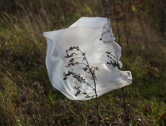 plastic bag use rise - Dave Bleasdale via Flickr