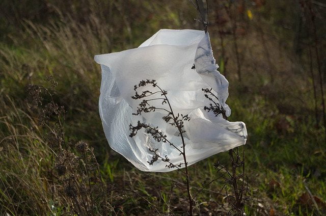 plastic bag use rise - Dave Bleasdale via Flickr