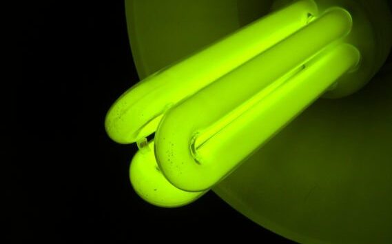 green bulb by Andrzej Pobiedziński via stock.xchng