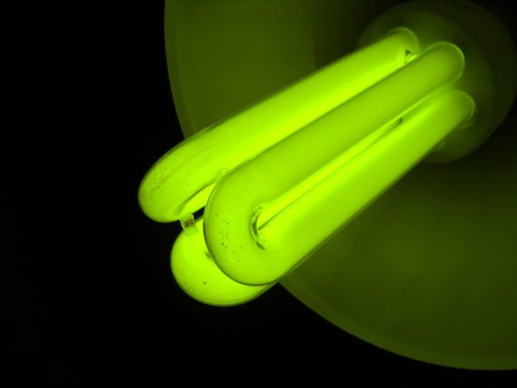 green bulb by Andrzej Pobiedziński via stock.xchng