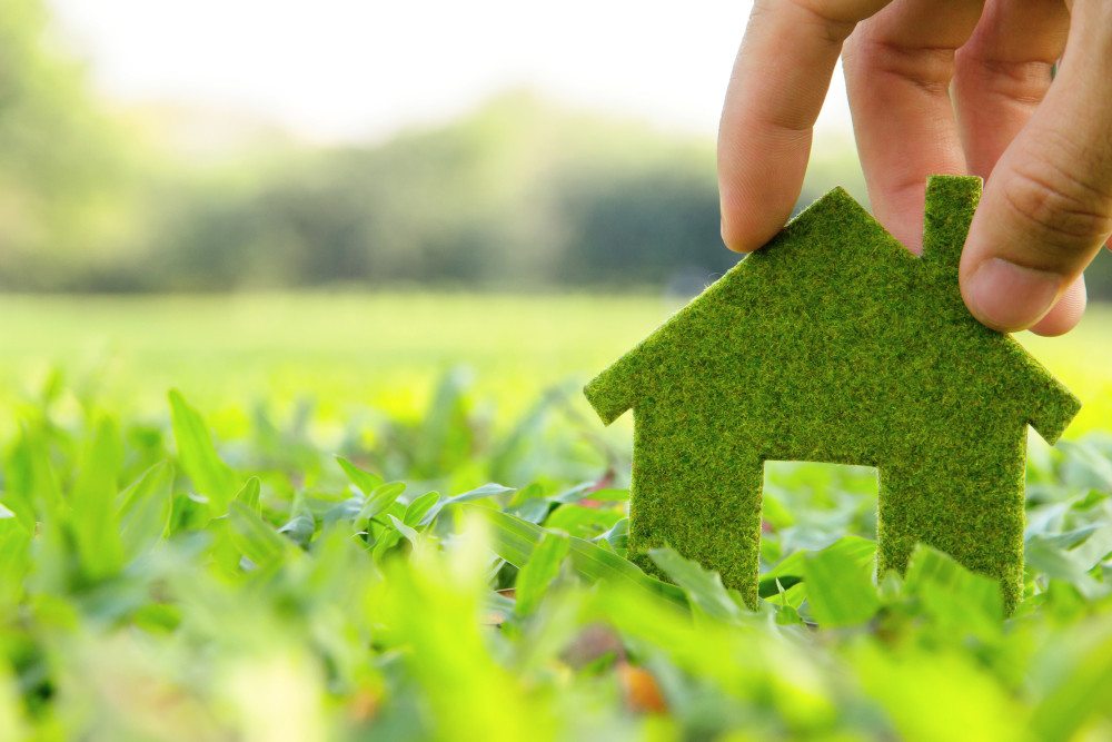 3 Green Living Tips that Can Slash Your Tax Burden