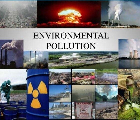 How Can We Help Control Environmental Pollution? - Blue and Green Tomorrow