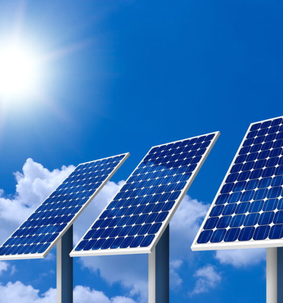 solar power energy for green businesses