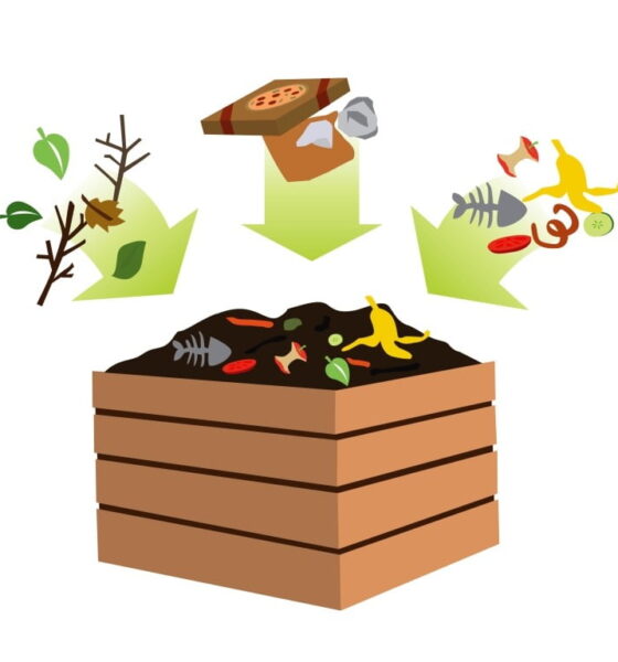 Composting benefits